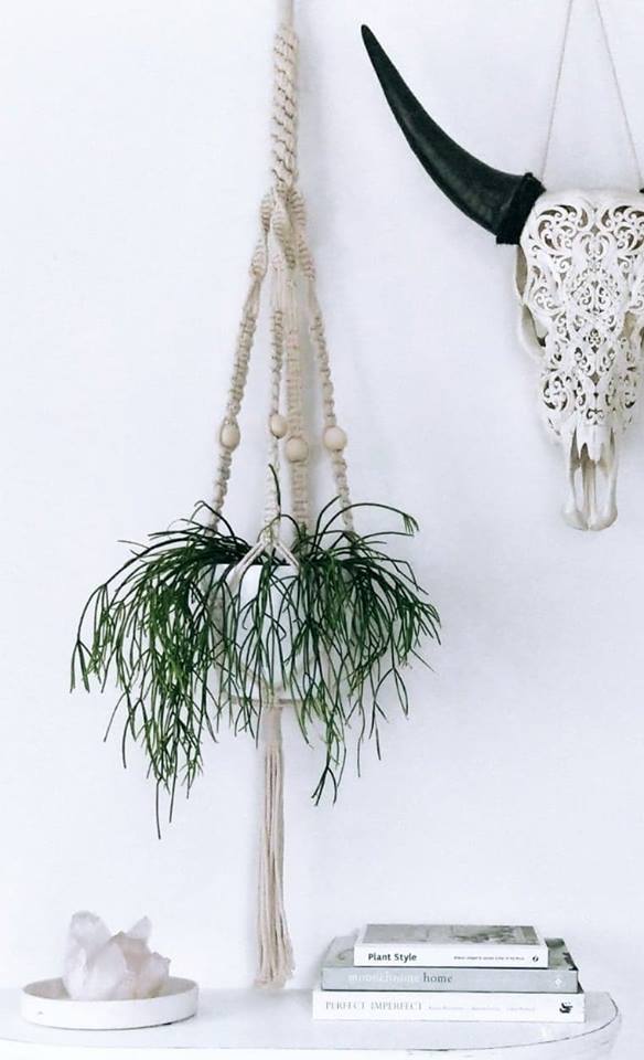 MACRAME POT HANGER + PLANT WORKSHOP 24th February 1pm Central Coast, NSW