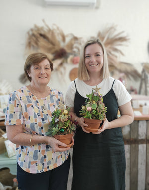 Succulent Christmas Tree Workshop 25th November 10am Central Coast, NSW