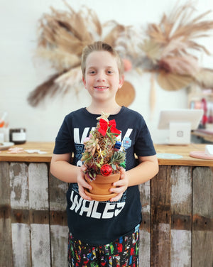 Succulent Christmas Tree Workshop 25th November 10am Central Coast, NSW