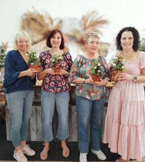Succulent Christmas Tree Workshop 25th November 10am Central Coast, NSW