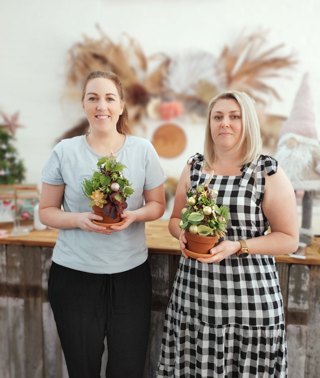 Succulent Christmas Tree Workshop 25th November 1pm Central Coast, NSW