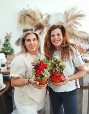 Succulent Christmas Tree Workshop 25th November 10am Central Coast, NSW