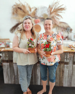 Succulent Christmas Tree Workshop 25th November 10am Central Coast, NSW