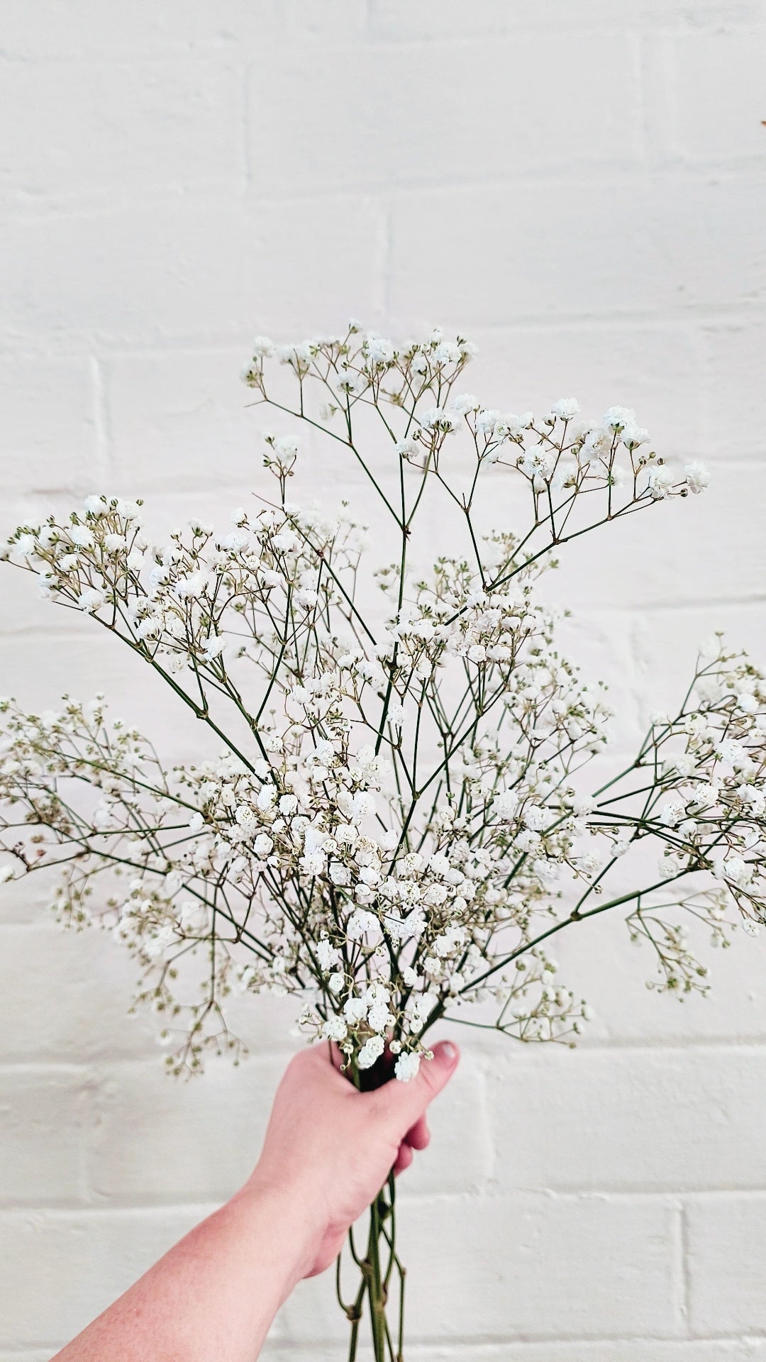 MOTHER'S DAY BUILD A BOUQUET + FREE GIFT WORKSHOP 11th May 10am Central Coast, NSW