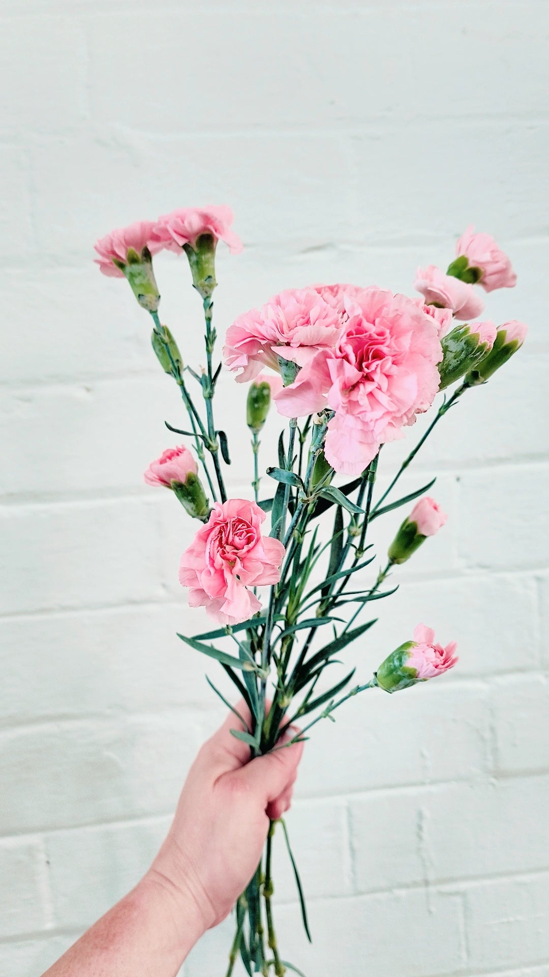 MOTHER'S DAY BUILD A BOUQUET + FREE GIFT WORKSHOP 11th May 10am Central Coast, NSW