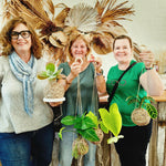 SPRING KOKEDAMA & HANGER WORKSHOP 7th September 11am Central Coast, NSW