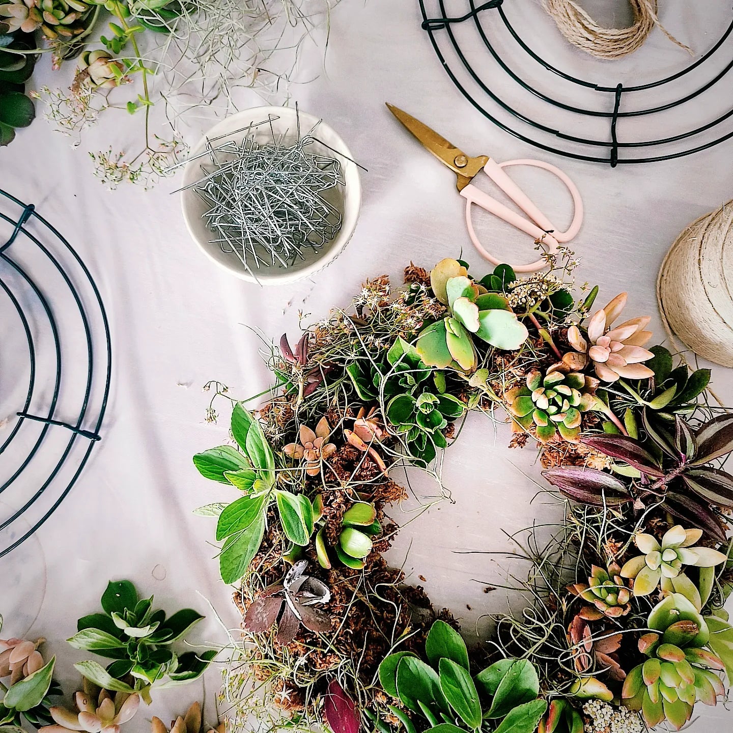 succulent wreath workshop SUCCULENT WREATH Workshop 18th May 1pm Central Coast, NSW – House of Ellery