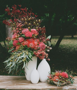 NATIVE POT ARRANGEMENT WORKSHOP 16th February 10am Central Coast, NSW