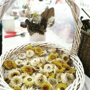 Dried & Preserved Flower Arrangement Workshop 15th July 10am Central Coast, NSW