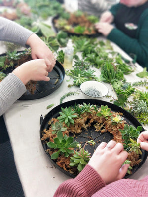 SUCCULENT WREATH WORKSHOP 7th September 10am Central Coast, NSW