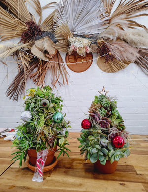 SUCCULENT CHRISTMAS TREE WORKSHOP 7th December 10am Central Coast, NSW