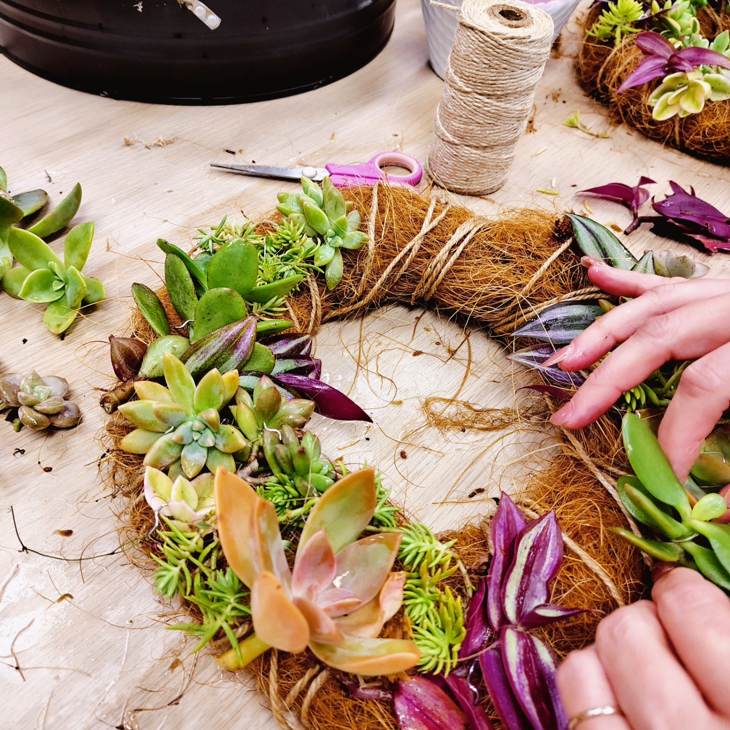 SUCCULENT WREATH WORKSHOP 7th September 10am Central Coast, NSW