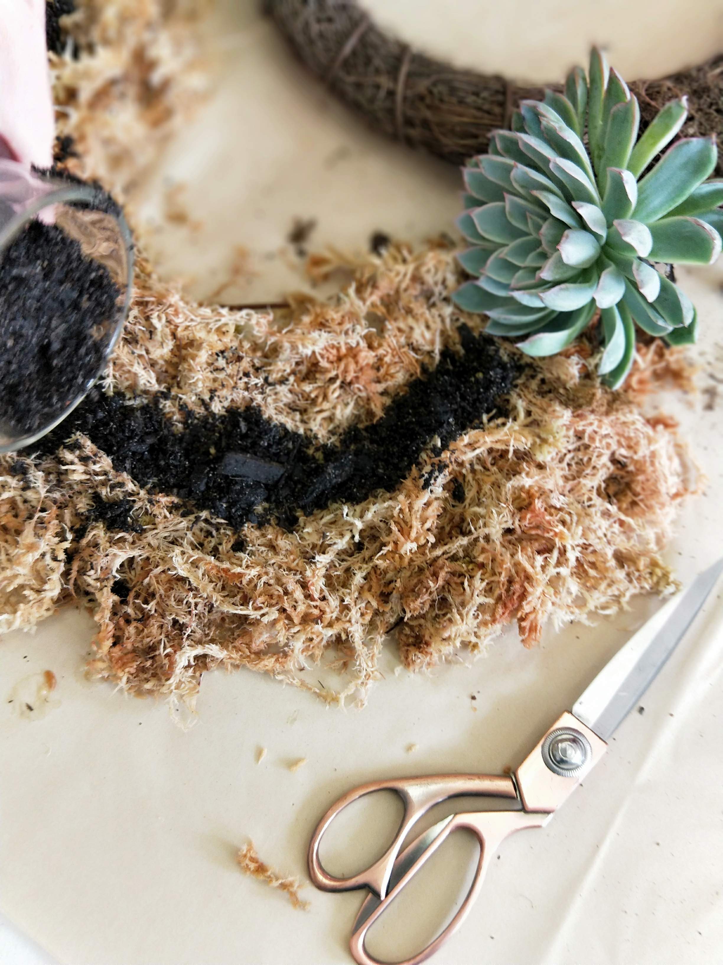 SUCCULENT WREATH WORKSHOP 7th September 10am Central Coast, NSW