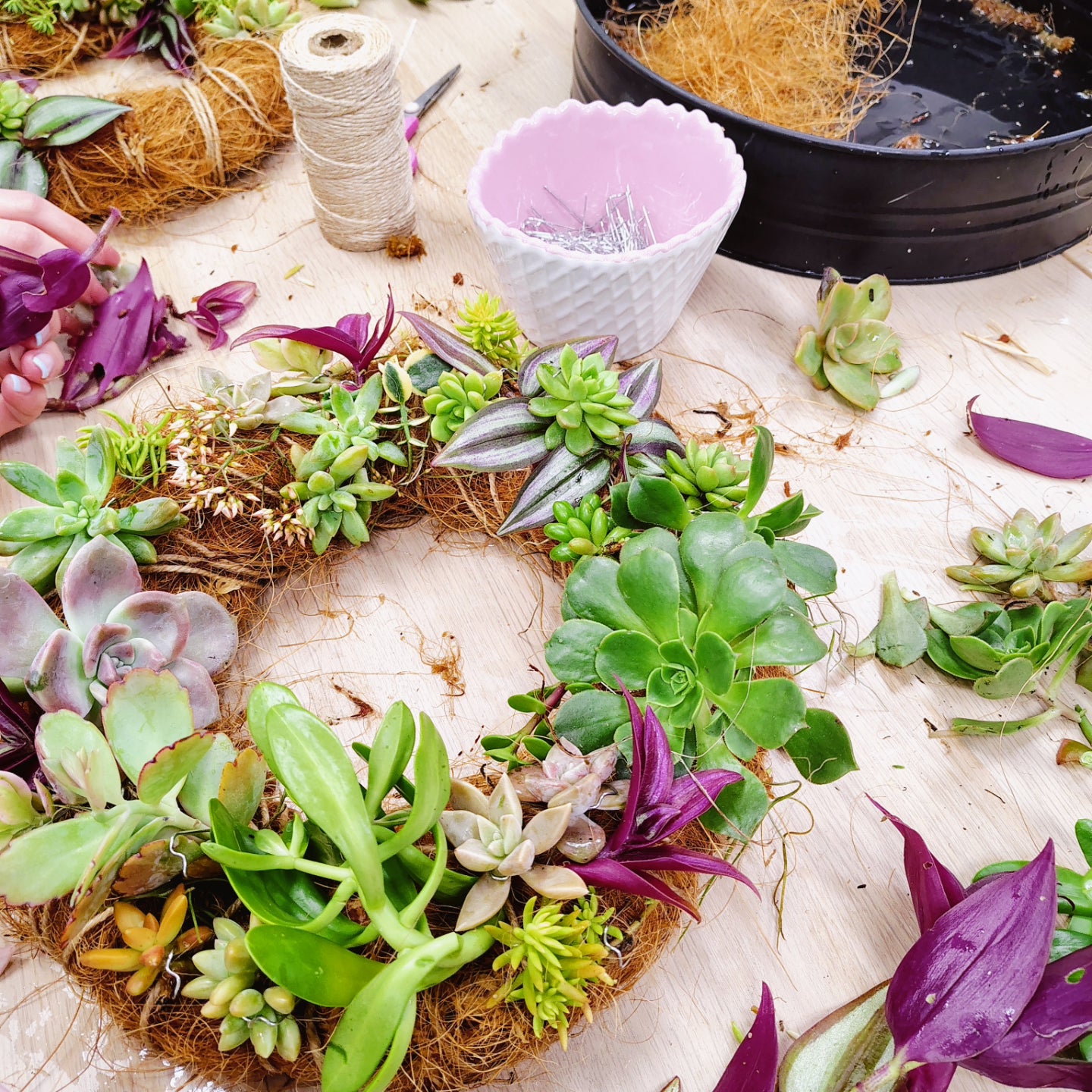 SUCCULENT WREATH WORKSHOP 7th September 10am Central Coast, NSW