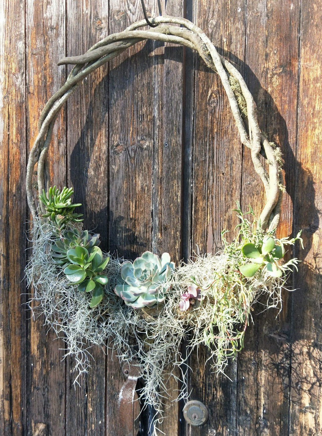 SUCCULENT VINE WREATH WORKSHOP 7th December 10am Central Coast, NSW