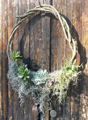 SUCCULENT VINE WREATH WORKSHOP 7th December 10am Central Coast, NSW