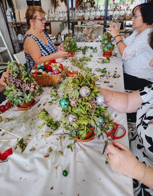 SUCCULENT CHRISTMAS TREE WORKSHOP 7th December 10am Central Coast, NSW
