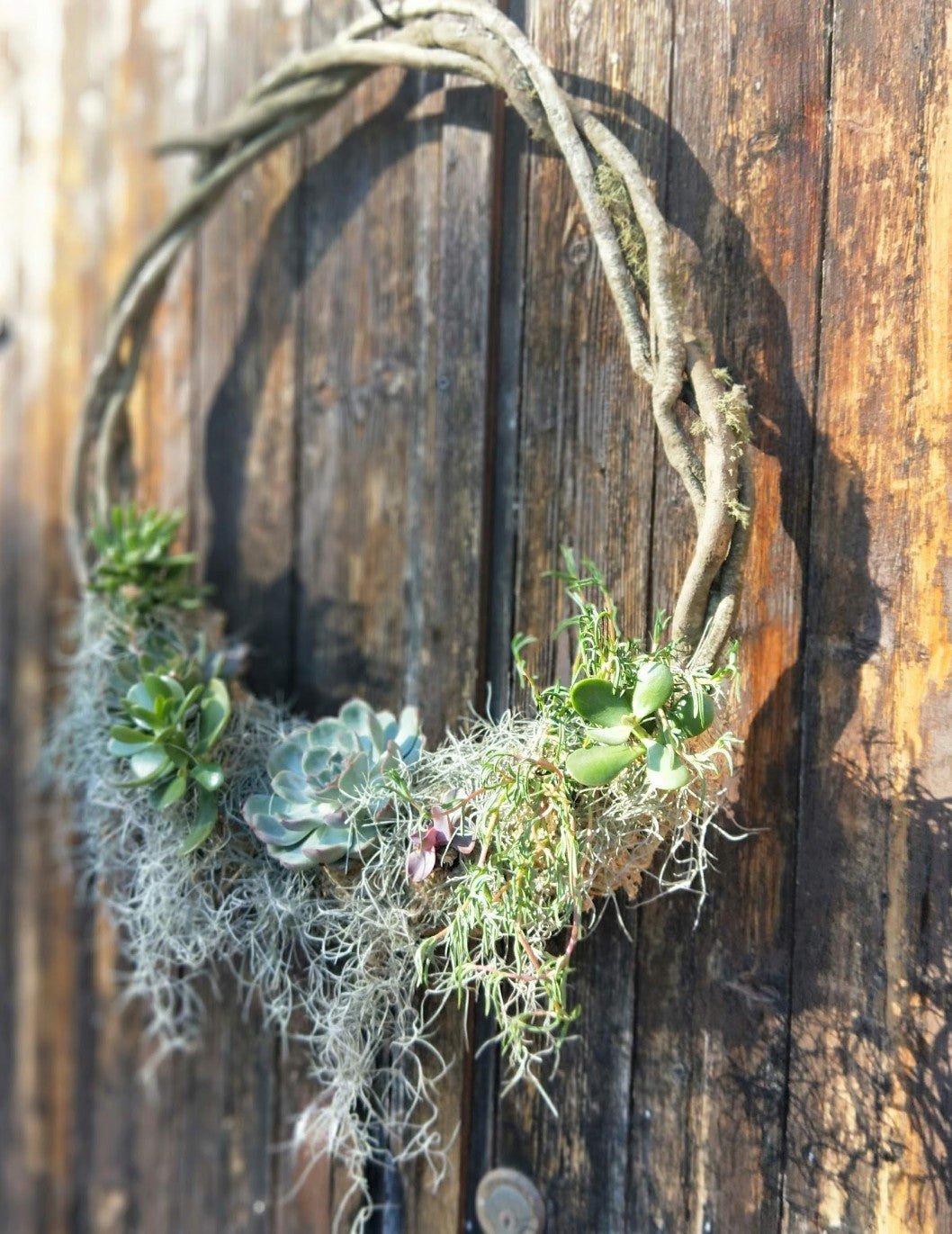 SUCCULENT VINE WREATH WORKSHOP 7th December 10am Central Coast, NSW