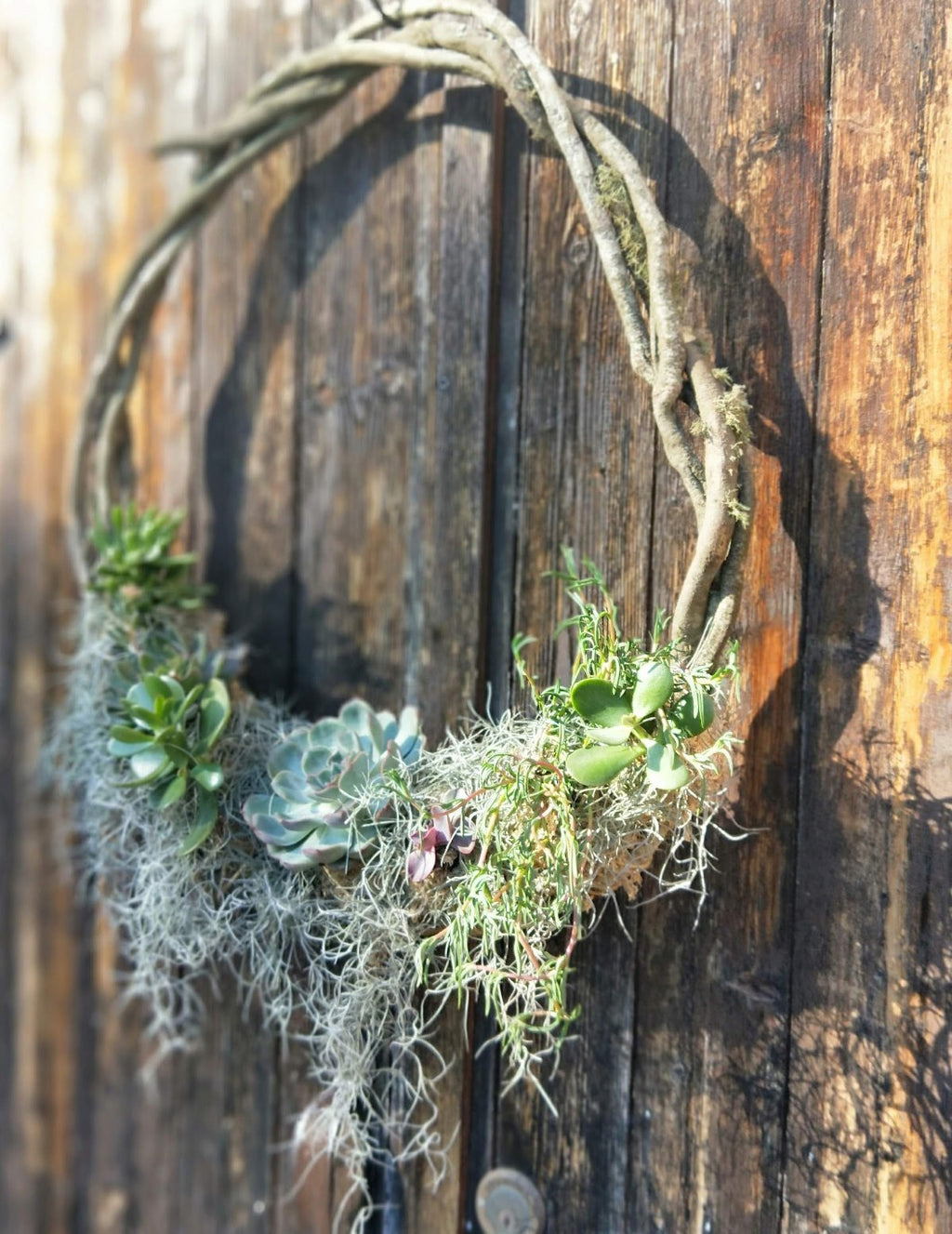SUCCULENT VINE WREATH WORKSHOP 7th December 10am Central Coast, NSW
