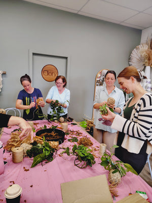 SPRING KOKEDAMA & HANGER WORKSHOP 7th September 11am Central Coast, NSW
