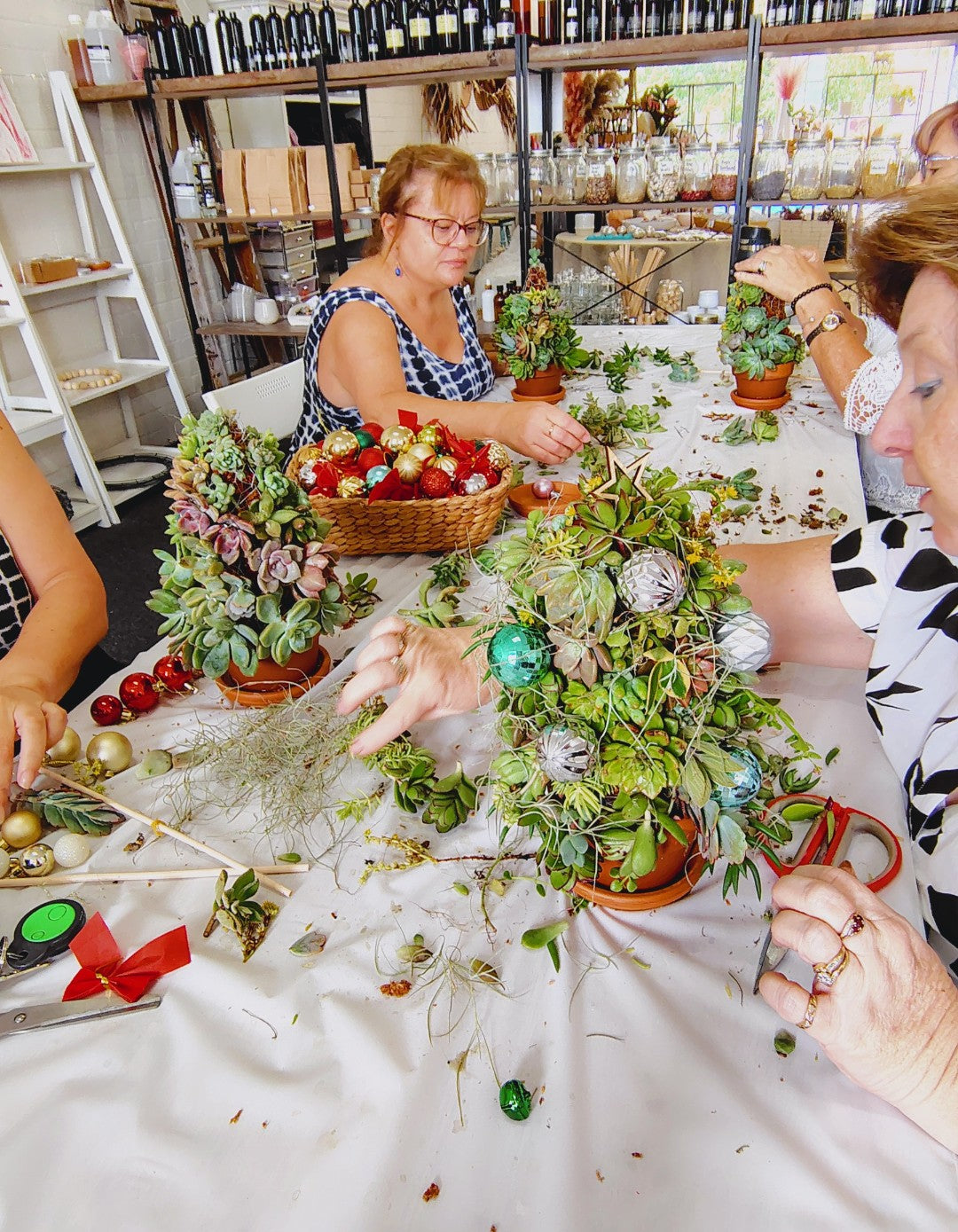 SUCCULENT CHRISTMAS TREE WORKSHOP 7th December 10am Central Coast, NSW