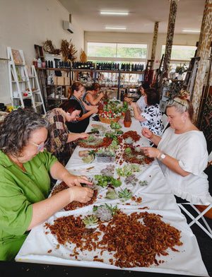 SUCCULENT CHRISTMAS TREE WORKSHOP 7th December 10am Central Coast, NSW