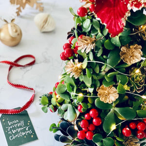 Succulent Christmas Tree Workshop 25th November 10am Central Coast, NSW