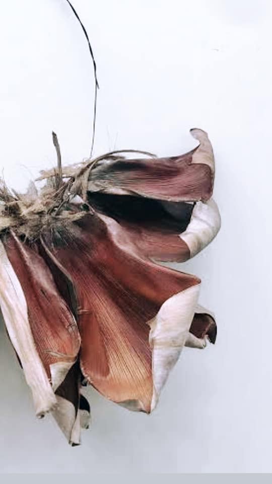 Cuttle Bone + Palm Frond + Clay Bead Wall Hanging Workshop 19th September Central Coast, NSW