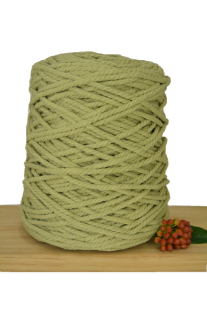 Beginner Macrame Wall Hanging Workshop 6th March, Central Coast NSW