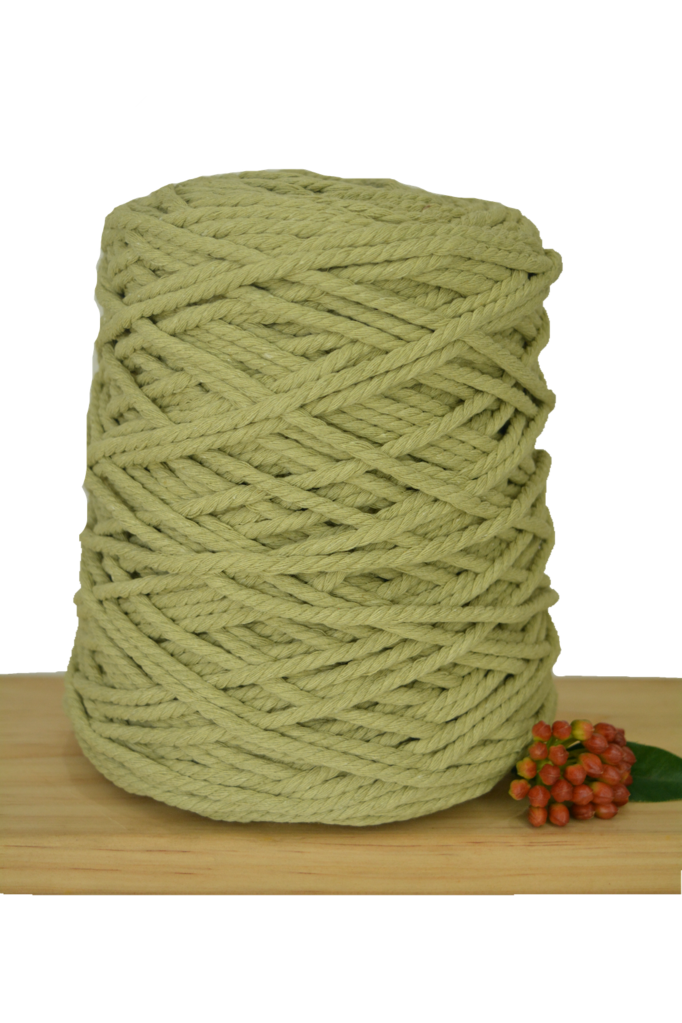 POSTPONED DUE TO SEVERE WEATHER / Beginner Macrame Wall Hanging Workshop 21st March, Central Coast NSW