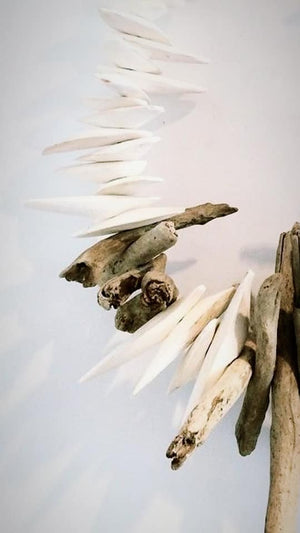 Cuttle Bone + Palm Frond + Clay Bead Wall Hanging Workshop 19th September Central Coast, NSW
