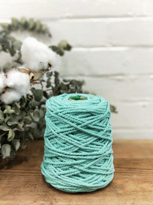 Macrame Plant Hanger DIY Kit