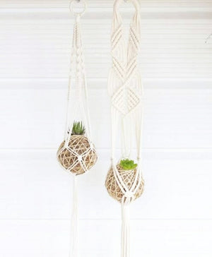 Kokedama + Macrame Hanger Workshop 23rd May Central Coast, NSW