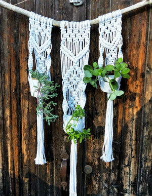 Tri Macrame Pot Hanger + Plants Workshop 31st October, Central Coast NSW