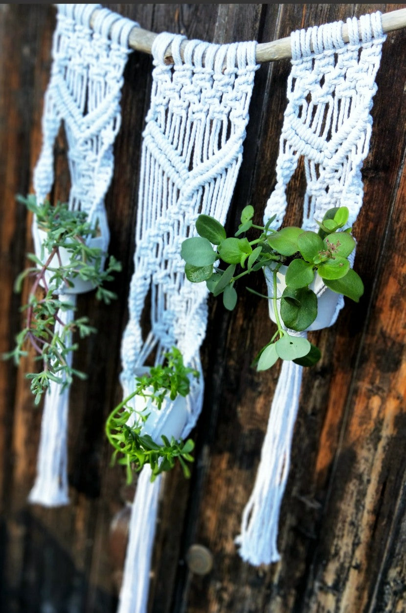 Tri Macrame Pot Hanger + Plants Workshop 31st October, Central Coast NSW