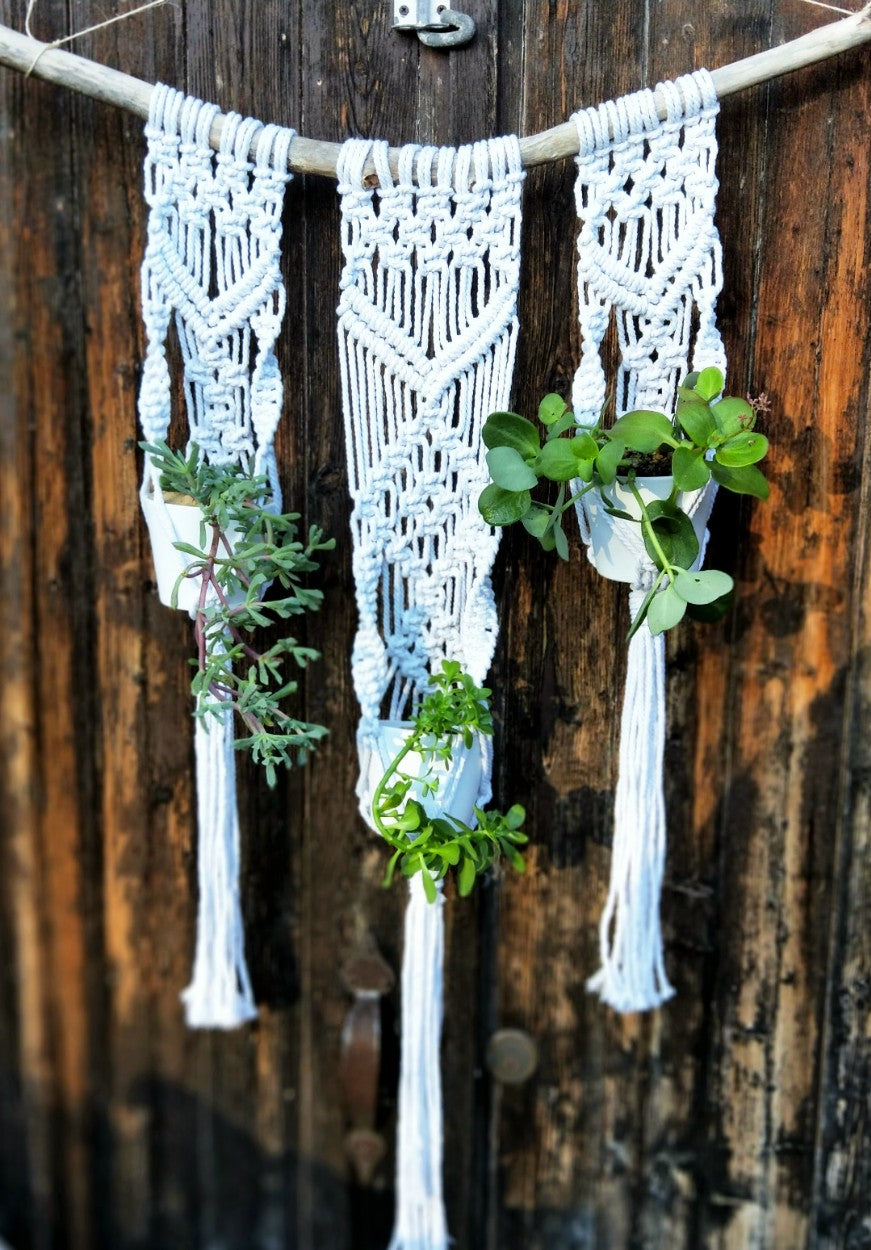Tri Macrame Pot Hanger + Plants Workshop 31st October, Central Coast NSW