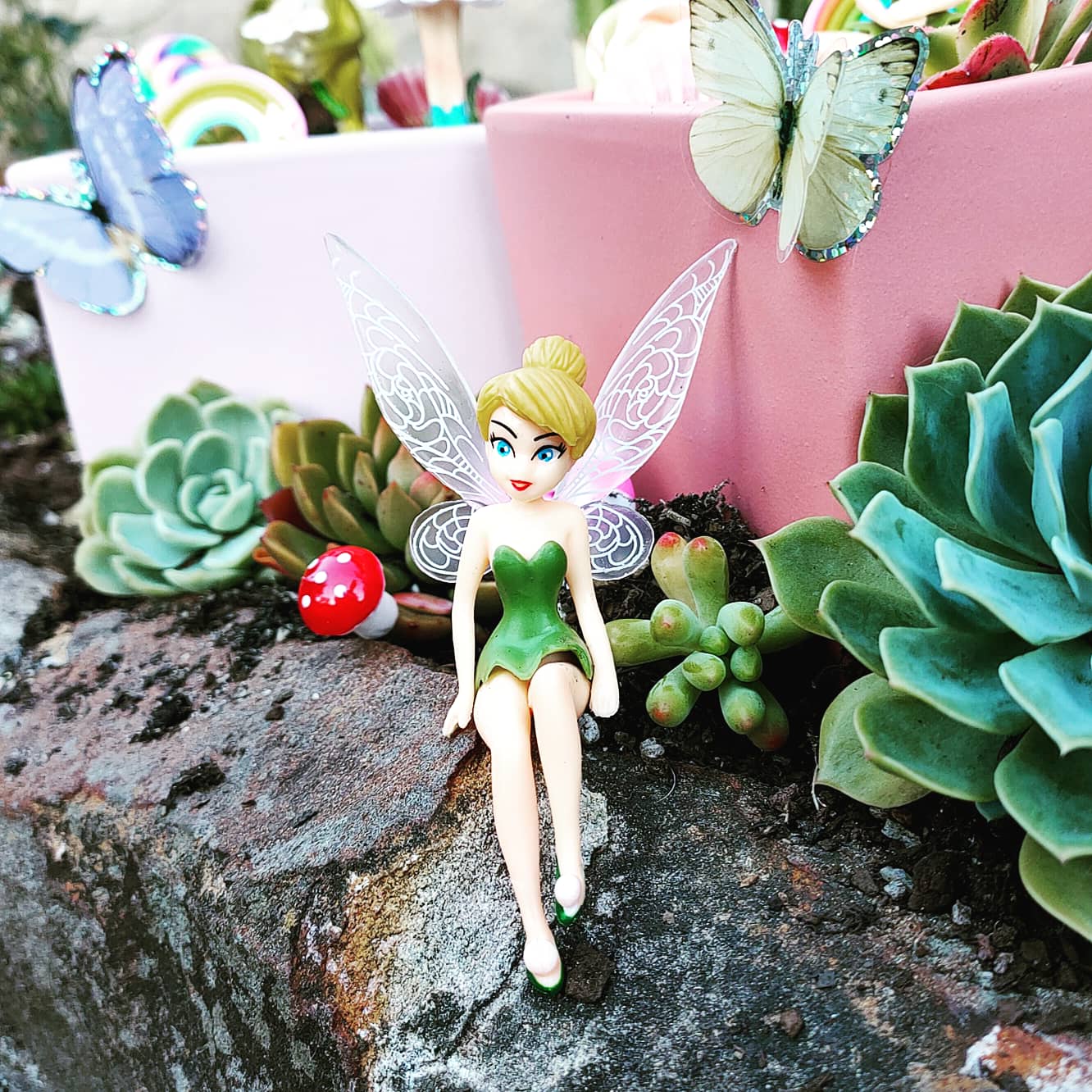 FAIRY GARDEN Workshop 14th January Central Coast, NSW