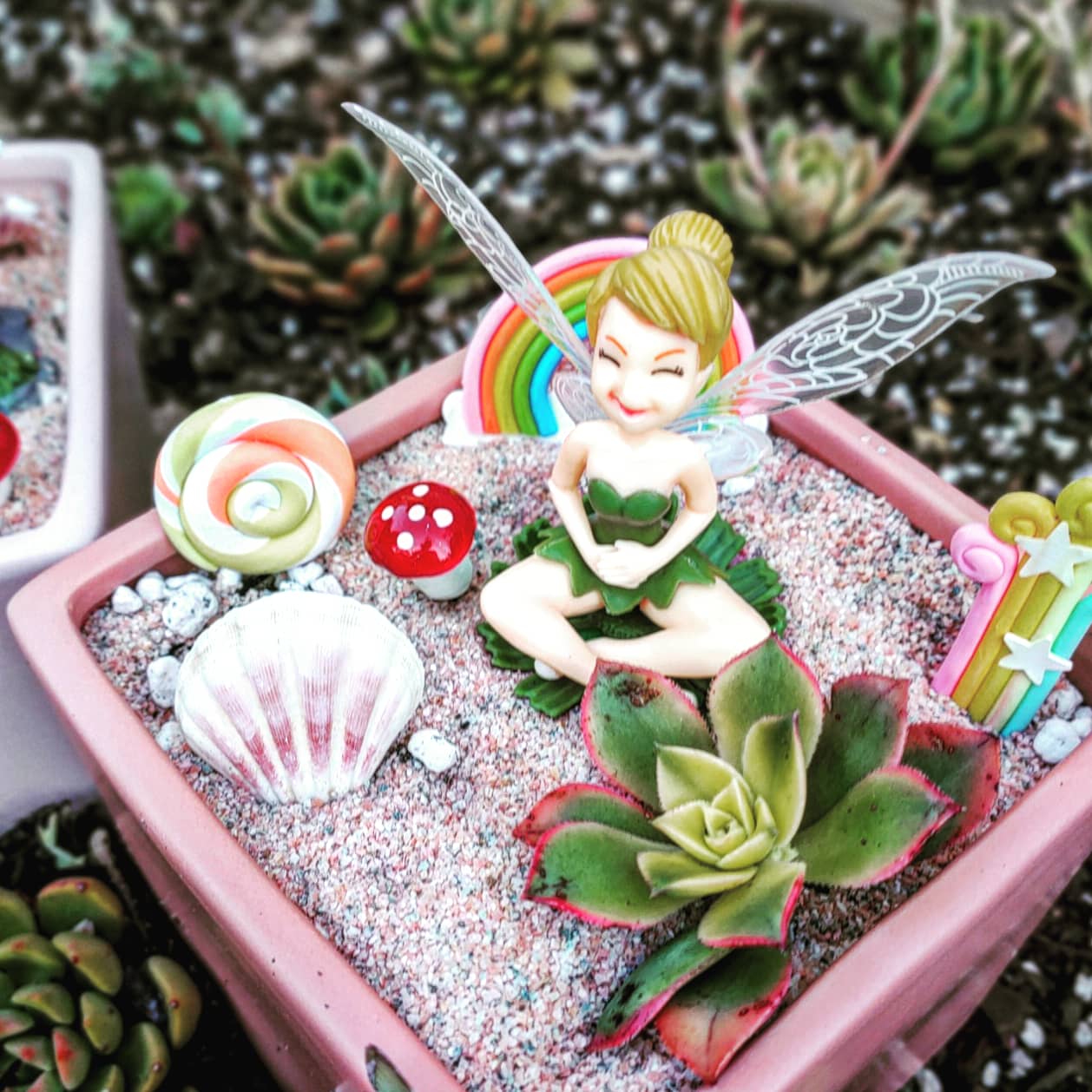 FAIRY GARDEN Workshop 14th January Central Coast, NSW