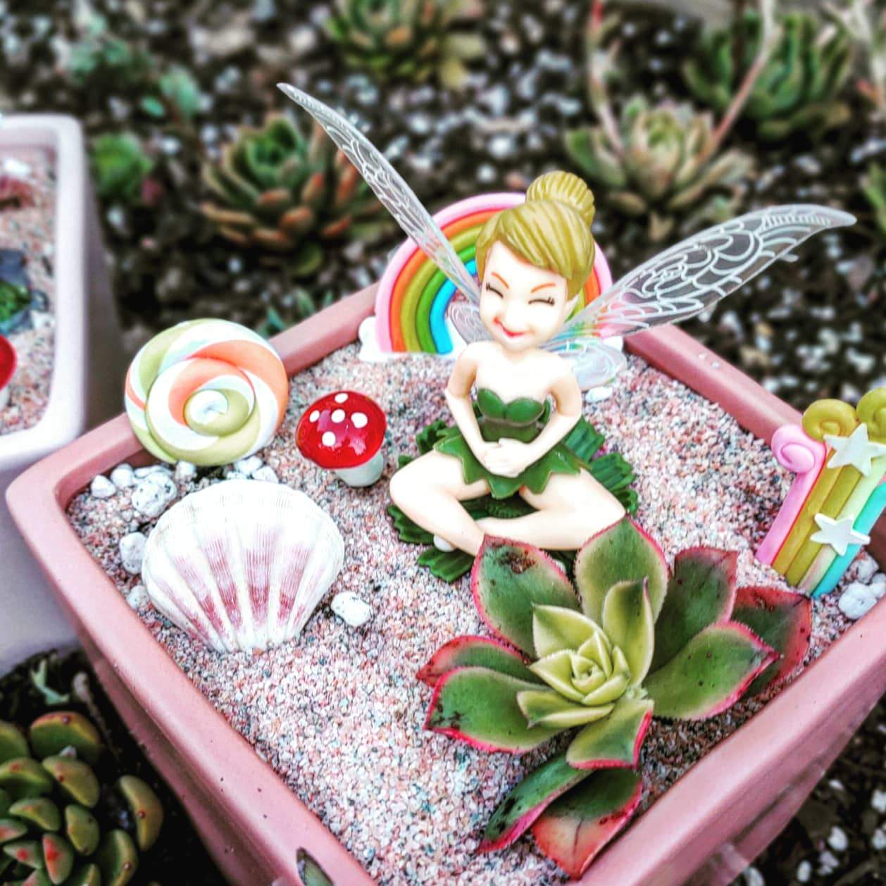 FAIRY GARDEN Workshop 13th January Central Coast, NSW