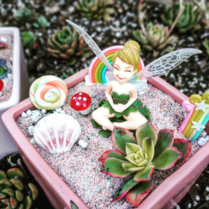 FAIRY GARDEN Workshop 13th January Central Coast, NSW