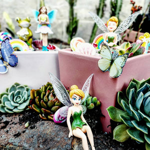 FAIRY GARDEN Workshop 14th January Central Coast, NSW