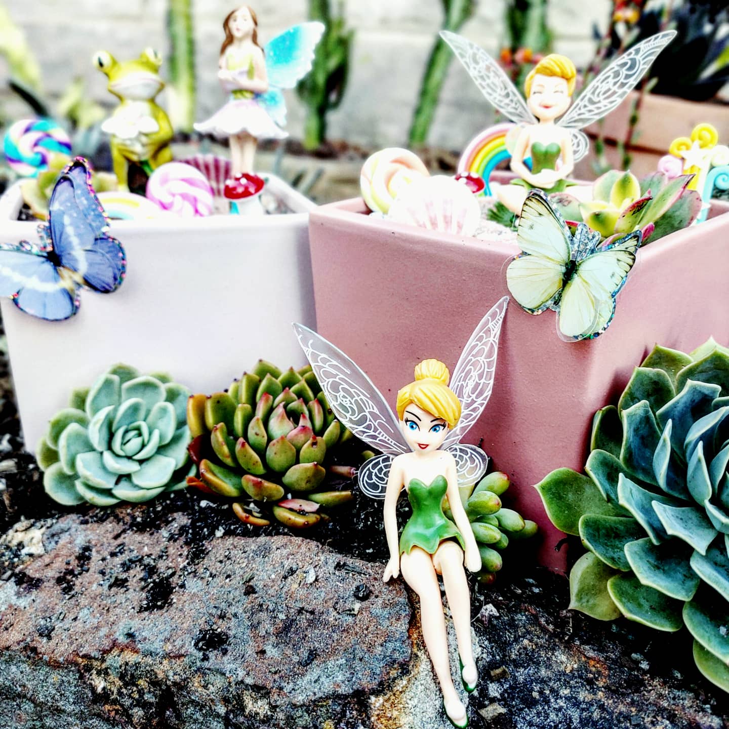 FAIRY GARDEN Workshop 13th January Central Coast, NSW