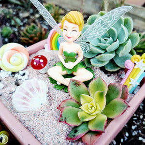 FAIRY GARDEN Workshop 13th January Central Coast, NSW