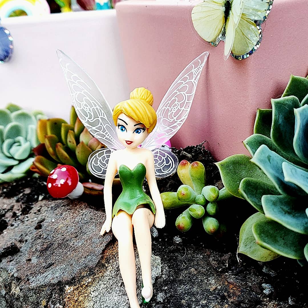 FAIRY GARDEN Workshop 13th January Central Coast, NSW