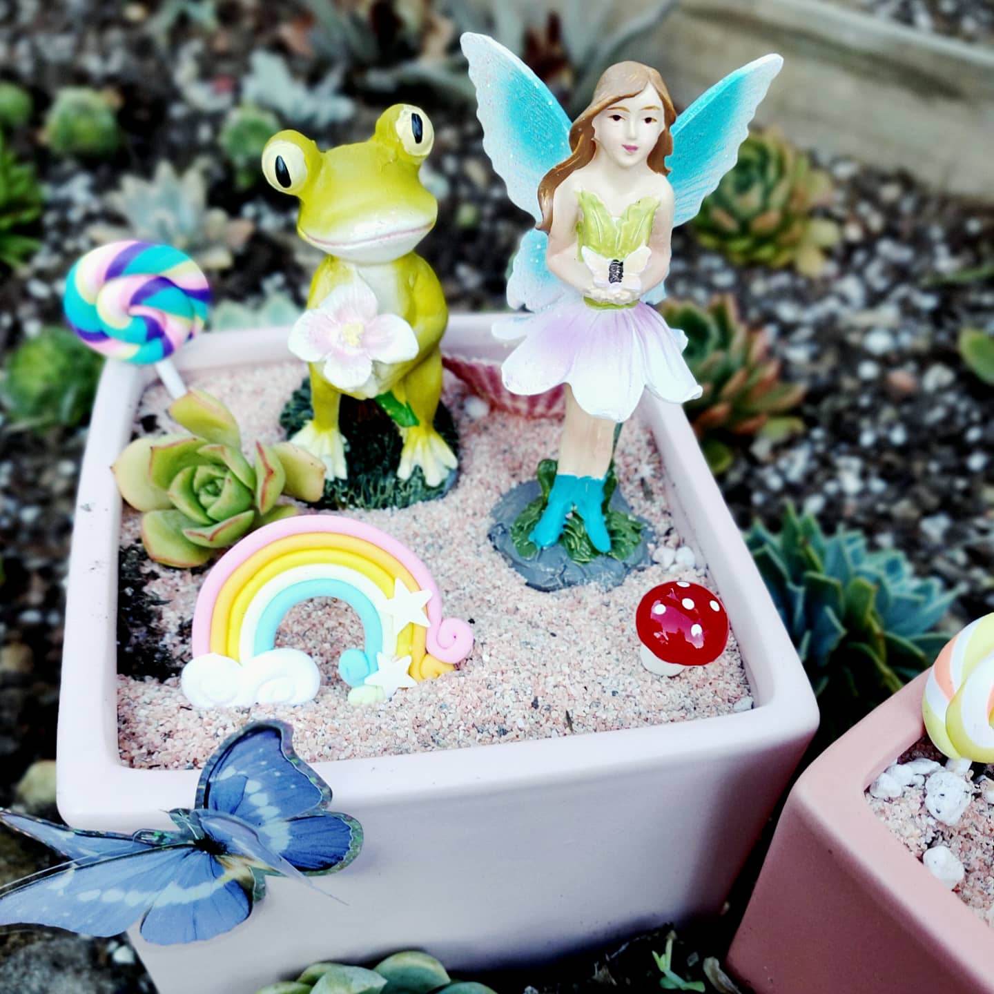 FAIRY GARDEN Workshop 14th January Central Coast, NSW
