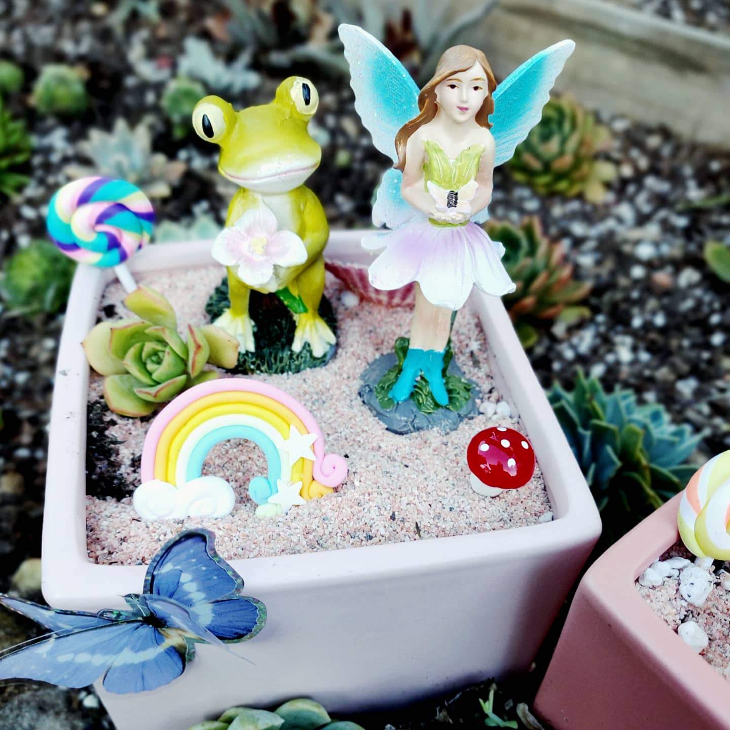 FAIRY GARDEN Workshop 13th January Central Coast, NSW