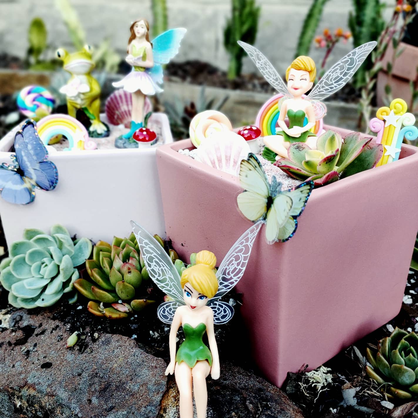 FAIRY GARDEN Workshop 14th January Central Coast, NSW