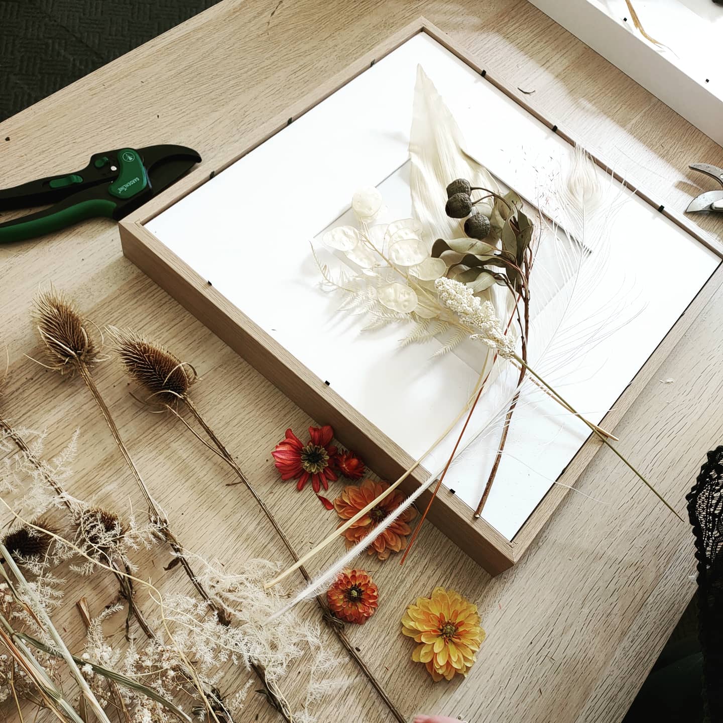 Preserved Flower Shadow Box 25th September 10:30am Central Coast, NSW