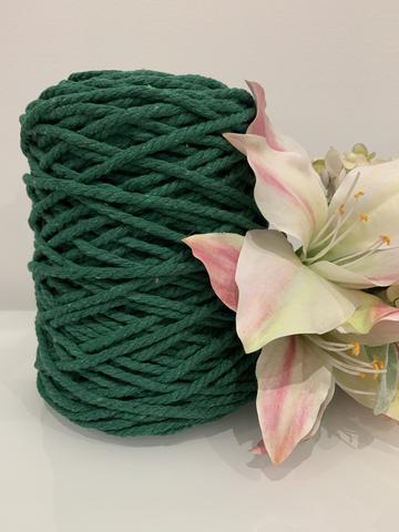 Macrame Plant Hanger DIY Kit