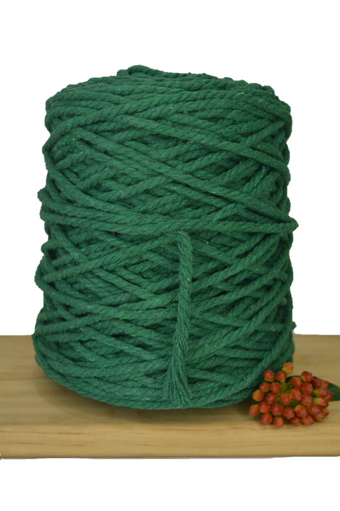 POSTPONED DUE TO SEVERE WEATHER / Beginner Macrame Wall Hanging Workshop 21st March, Central Coast NSW